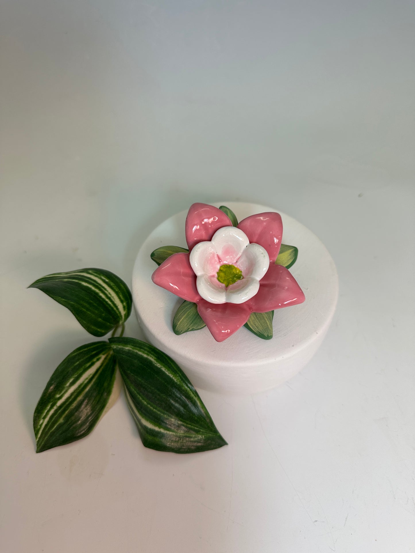 Pink Columbine Ring Dish