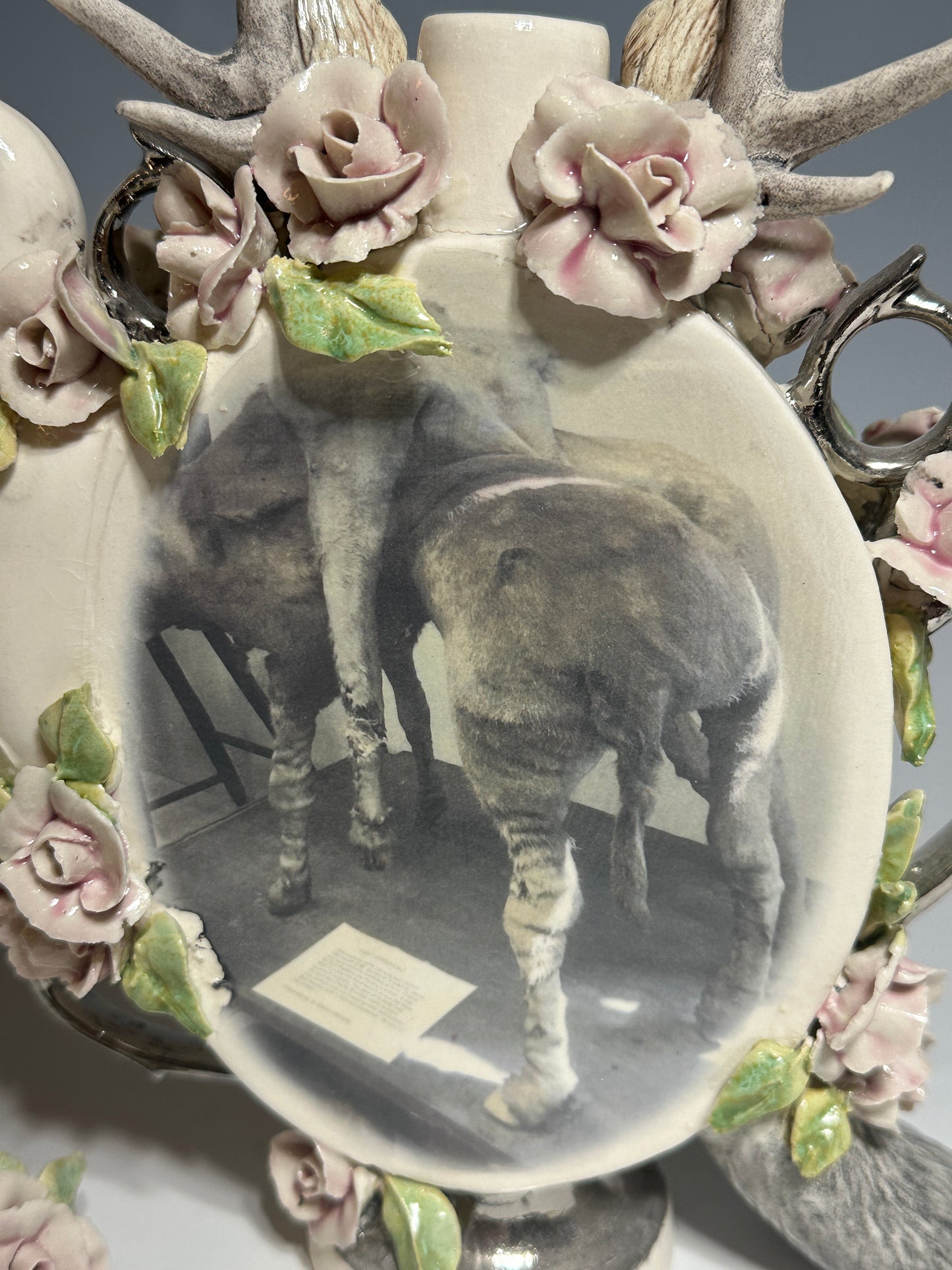 New Harmony Moods and Curiosities Porcelain Teapot